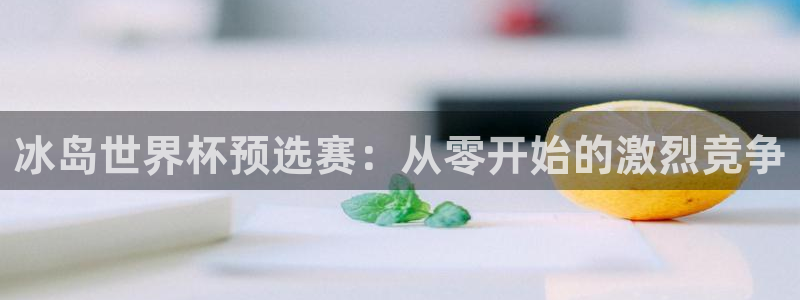 世界杯球赛:冰岛世界杯预选赛:从零开始的激烈竞争