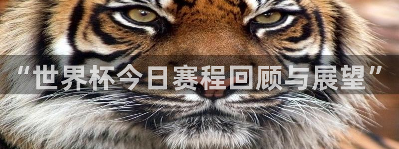 2026世界杯足球赛程时间表:“世界杯今日赛程回顾与展望”