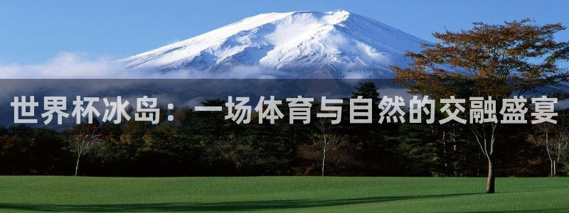 足球世界杯:世界杯冰岛:一场体育与自然的交融盛宴