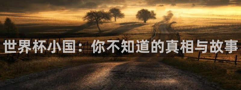 世界杯足球2026:世界杯小国:你不知道的真相与故事