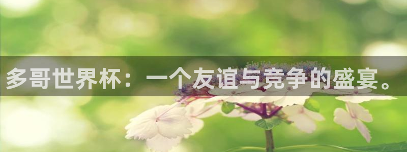 世界杯决赛预测:多哥世界杯:一个友谊与竞争的盛宴。