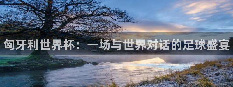 2026世界杯赛制:匈牙利世界杯:一场与世界对话的足球盛宴