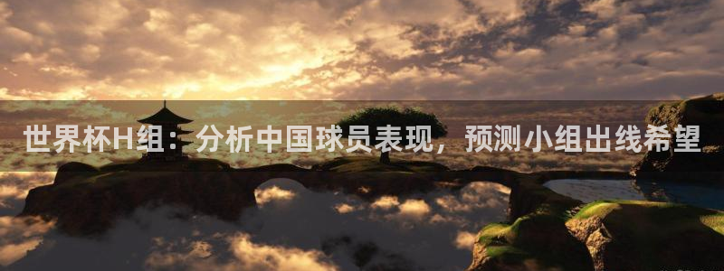 国际足联世界杯:世界杯H组:分析中国球员表现,预测小组出线希望