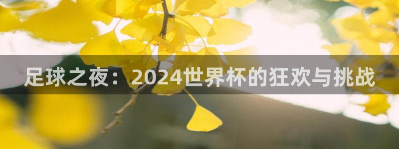 世界杯亚洲区预选赛赛程:足球之夜:2024世界杯的狂欢与挑战